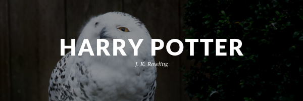 Harry Potter Banner for paragraph